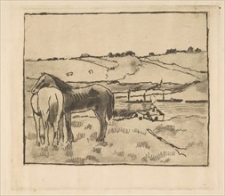 Horses in the Meadow, 1891-92. Creator: Edgar Degas.