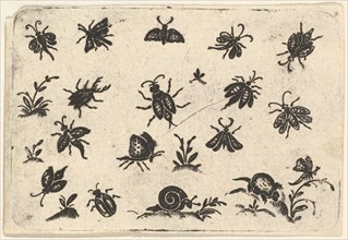 Small Motifs of Insects and Plants, 1596. Creator: Georg Herman.