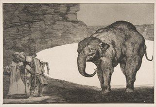 Plate C from the 'Disparates': Animal Folly, ca. 1816-23