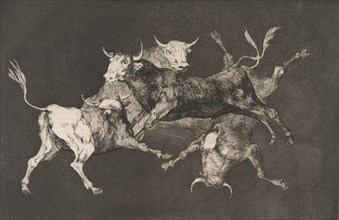 Plate D from the 'Disparates': Fools-'or Little Bulls' - fo..., ca. 1816-23 (published before 1877). Creator: Francisco Goya.