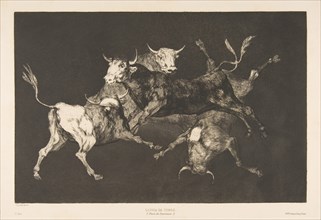 Plate D from the 'Disparates': Fools-'or Little Bulls' - folly, ca. 1816-23 (published 1877). Creator: Francisco Goya.