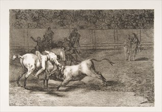 Plate 23 from the 'Tauromaquia':Mariano Ceballos, alias the Indian, kills the bull from hi..., 1816. Creator: Francisco Goya.