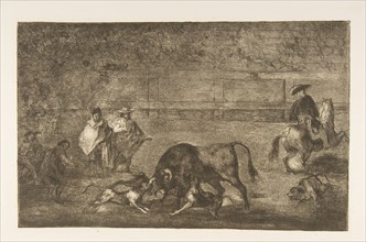 Plate C: The dogs let loose on the bull., ca. 1816. Creator: Francisco Goya.