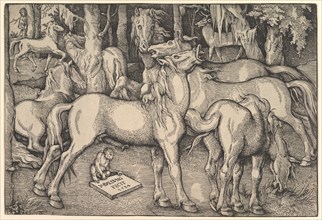 Group of Seven Horses, 1534. Creator: Hans Baldung.