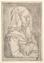 Girl with a Cat, 1546. Creator: Jan Cornelisz Vermeyen.