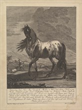 Horse, 18th Century. Creator: Unknown.