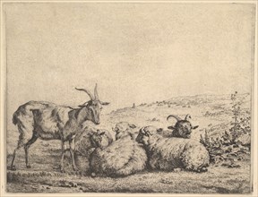 Two Goats and Three Sheep, 1655. Creator: Karel Du Jardin.