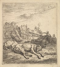 Two dogs sleeping on the ground; a plough, farm equipment, bunches of straw, and a ..., ca. 1641-78. Creator: Karel Du Jardin.