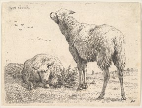 Two sheep, one shown frontally in a reclining position with its legs folded underneath..., ca. 1655. Creator: Karel Du Jardin.