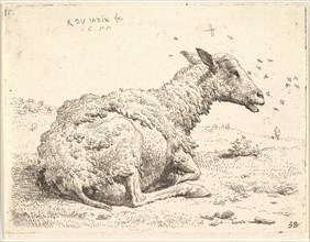 Partially shorn sheep lying in the grass with insects hovering around its head, 1655. Creator: Karel Du Jardin.