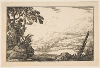 Clump of Trees, 1640. Creator: Laurent de la Hyre.