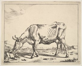 Cow, after Paulus Potter. Creator: Marcus de Bye.