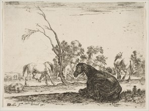 Plate 8: a seated horse to right, seen from behind and turned to the left, three other hor..., 1642. Creator: Stefano della Bella.