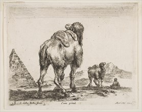 Plate 18: camel viewed from behind with pyramid at left, from 'Various animals'