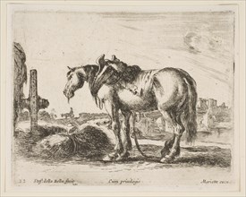 Plate 22: cart horse, from 'Various animals' (Diversi animali), ca. 1641. Creator: Stefano della Bella.