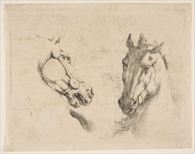 Two Horse Heads, ca. 1649. Creator: Stefano della Bella.