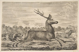 Hounds Chasing a Stag and a Doe, ca. 1654. Creator: Stefano della Bella.