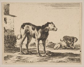 Plate 11: dogs, from 'Various animals'