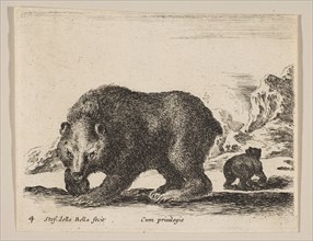 Plate 4: bear, from 'Various animals' (Diversi animali), ca. 1641. Creator: Stefano della Bella.