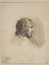 Head of a young man in profile, from 'Various portraits'