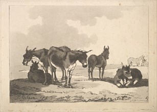 A Group of Five Donkeys, Three Standing, Two Lying, 1783-87. Creator: Thomas Rowlandson.