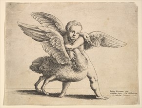 Cupid and the swan, 1652. Creator: Wenceslaus Hollar.