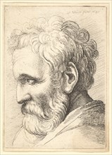 Bearded old man, 1645. Creator: Wenceslaus Hollar.