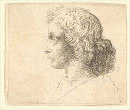 Head of young man with long hair in profile to the left, 1644-52. Creator: Wenceslaus Hollar.