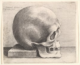 Skull in profile to right, 1645. Creator: Wenceslaus Hollar.