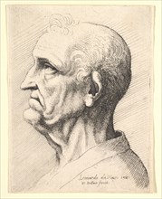 Head of an old man with tufts of curly hair around ear in profile to left, 1644-52. Creator: Wenceslaus Hollar.