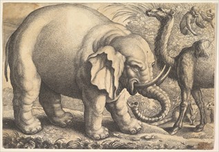 Elephant and Camel, 17th century