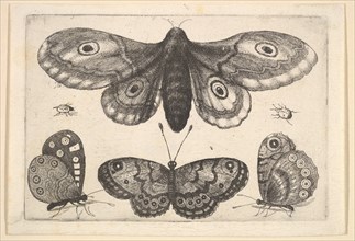 A moth, three butterflies and two beetles, 1646. Creator: Wenceslaus Hollar.