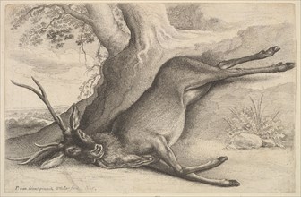 Dead stag, 1646. Creator: Wenceslaus Hollar.