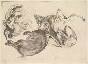 Boar, deer, heron and other game, 1625-77. Creator: Wenceslaus Hollar.