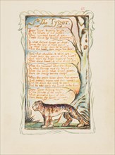Songs of Innocence and of Experience: The Tyger, ca. 1825. Creator: William Blake.