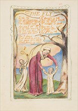 Songs of Innocence and of Experience: The Fly, ca. 1825. Creator: William Blake.
