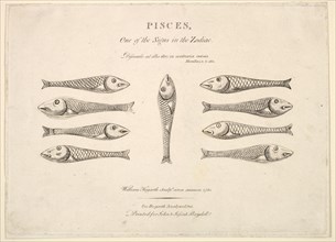 Pisces: Hogarth's Quadrille Fish, ca. 1730. Creator: Unknown.