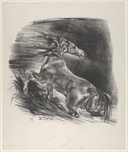 Wild Horse, 1828.