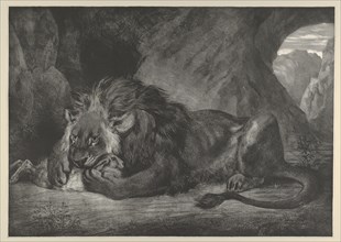 Lion of the Atlas Mountains