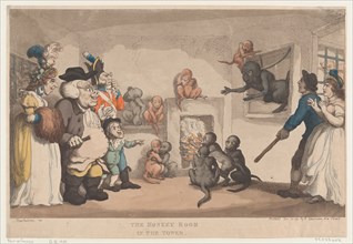The Monkey Room in the Tower