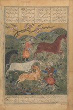 Rustam Captures the Horse Rakhsh