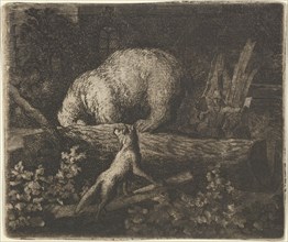 The Bear with His Snout and Forepaws Caught in the Trunk of a Tree. From Hendrick van Alcmar's Renard The Fox