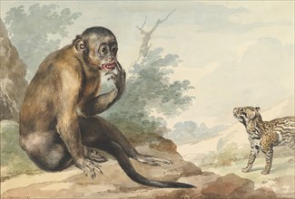 A Monkey Sitting on a Rock Looking at a Civet, 1764.