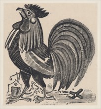 A rooster, ca. 1880-1910.