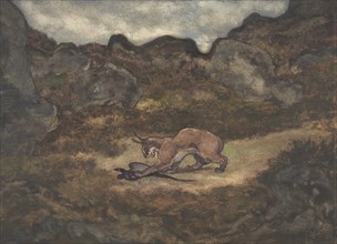 Caracal and Pheasant, 1810-75.