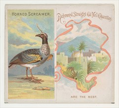 Horned Screamer, from Birds of the Tropics series (N38) for Allen & Ginter Cigarettes, 1889.