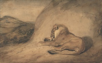 Lion Resting, 1810-75.