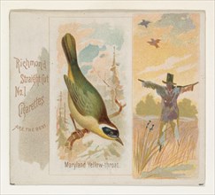 Maryland Yellow-throat, from the Song Birds of the World series (N42) for Allen & Ginter Cigarettes, 1890.