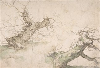 Studies of Two Pollard Willows; Verso: Wide Landscape Prospect, late 16th-mid-17th century.