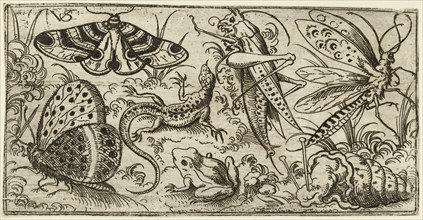 Group of insects and animals on a plain ground with grass, including a butterfly, a dragonfly, a moth, a cricket, a lizard, a frog, and a snail, 1530 - 1562. From Douce Ornament Prints Album I.